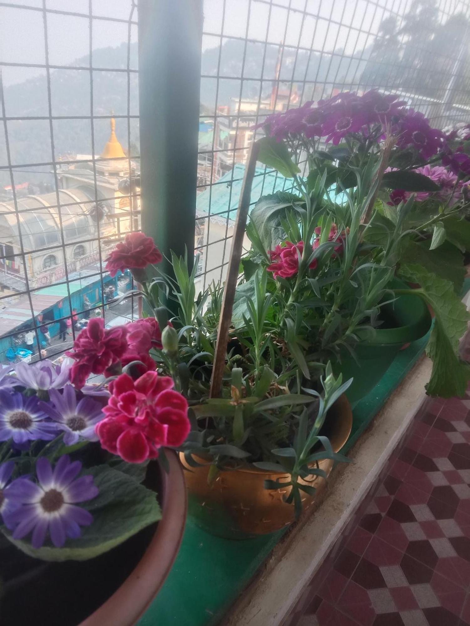 Beverly Hills Home Stay Darjeeling  Exteriör bild