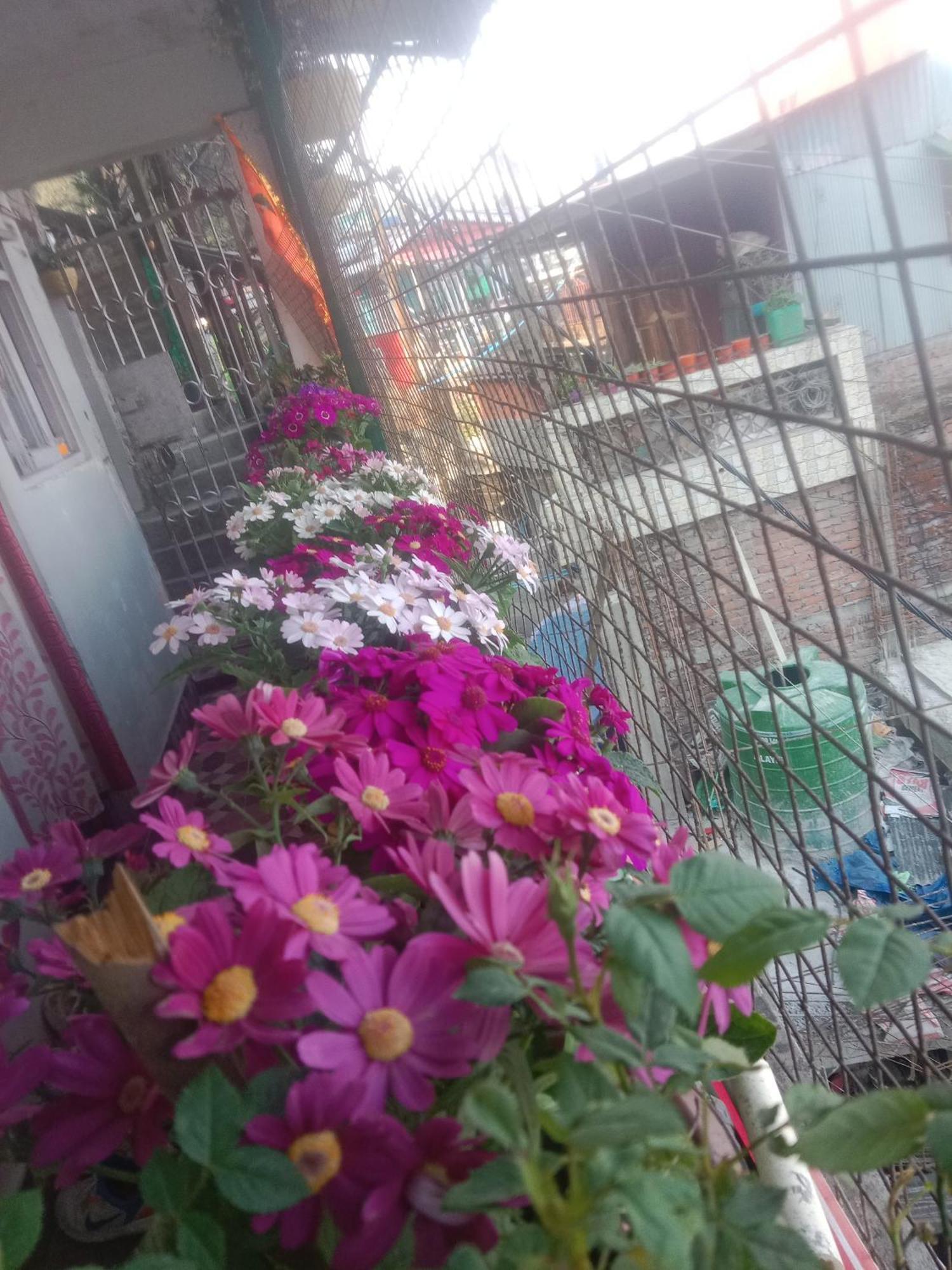 Beverly Hills Home Stay Darjeeling  Exteriör bild